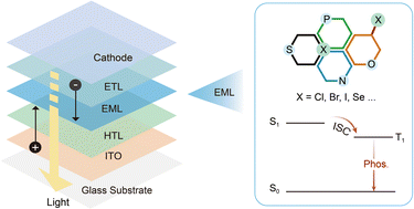 Graphical abstract: Recent advances in metal-free phosphorescent materials for organic light-emitting diodes