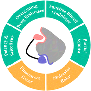 Graphical abstract: Designing drugs and chemical probes with the dualsteric approach