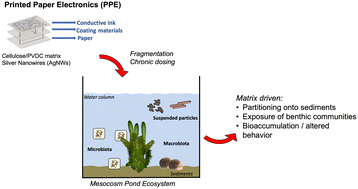 Graphical abstract: Matrix-driven environmental fate and effects of silver nanowires during printed paper electronics end of life