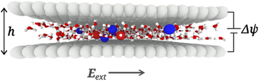 Graphical abstract: Surface polarization enhances ionic transport and correlations in electrolyte solutions nanoconfined by conductors