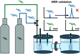 Graphical abstract: Beyond acceptable limits: intrinsic contamination in commercial 15N2 impedes reliable N2 reduction experiments