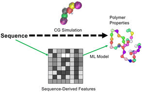 Graphical abstract: Data-driven models for predicting intrinsically disordered protein polymer physics directly from composition or sequence