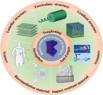 Graphical abstract: Bionic ordered structured hydrogels: structure types, design strategies, optimization mechanism of mechanical properties and applications