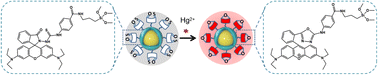 Graphical abstract: “Turn-on” and pinhole-free ultrathin core–shell Au@SiO2 nanoparticle-based metal-enhanced fluorescent (MEF) chemodosimeter for Hg2+