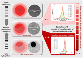 Graphical abstract: Vertically oriented self-assembly of colloidal CdSe/CdZnS quantum wells controlled via hydrophilicity/lipophilicity balance: optical gain of quantum well stacks for amplified spontaneous emission and random lasing