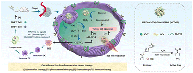 Graphical abstract: A cascade nanoplatform for the regulation of the tumor microenvironment and combined cancer therapy