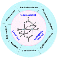 Graphical abstract: Dirhodium: carbene transformations and beyond