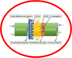 Graphical abstract: Improving the durability of cobaltite cathode of solid oxide fuel cells – a review