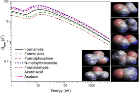 Graphical abstract: Positron scattering from structurally related biomolecules