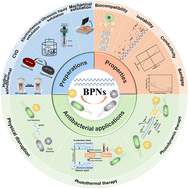 Graphical abstract: Antibacterial black phosphorus nanosheets for biomedical applications