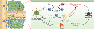 Graphical abstract: Iron-chelated semiconducting oligomer nanoparticles for NIR-II fluorescence imaging-guided enhanced chemodynamic/photothermal combination therapy