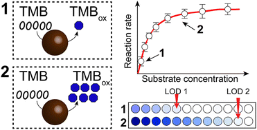 Graphical abstract: Characterization of nanozyme kinetics for highly sensitive detection