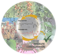 Graphical abstract: Stereochemistry of natural products from vibrational circular dichroism