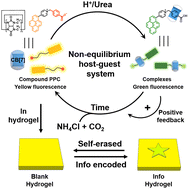 Graphical abstract: Transient cucurbit[7]uril-mediated host–guest complexes for time-dependent fluorescence and information-self-erasing hydrogel