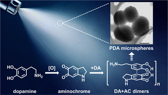 Graphical abstract: The synthesis of polydopamine nano- and microspheres in microdroplets