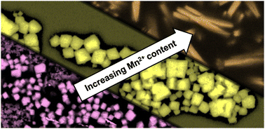 Graphical abstract: Manganese-enriched CsPbCl3 perovskite nanocrystals for self-assembled supercrystals