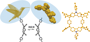 Graphical abstract: Boat-to-boat conformation inversions of cyclobis[7,8-(para-quinodimethane)-3,7-(9-(p-tolyl)-9H-carbazole)] in the neutral and tetracationic state