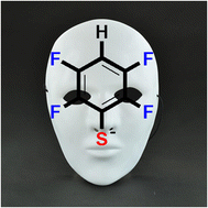 Graphical abstract: Exploring the persistence of the fluorinated thiolate 2,3,5,6-S(C6F4H-4) motif to establish πF–πF stacking in metal complexes: a crystal engineering perspective