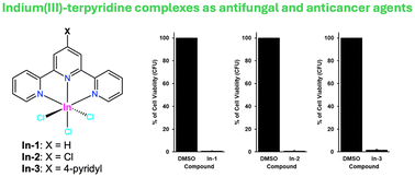 Graphical abstract: Indium(iii)–terpyridine complexes: synthesis, structures and remarkable antifungal and anticancer activities