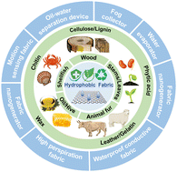 Graphical abstract: Progress on fiber engineering for fabric innovation in ecological hydrophobic design and multifunctional applications