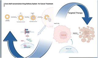 Graphical abstract: In vitro β-catenin attenuation by a mefloquine-loaded core–shell nano emulsion strategy to suppress liver cancer cells