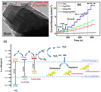 Graphical abstract: Multifunctional tunable Cu2O and CuInS2 quantum dots on TiO2 nanotubes for efficient chemical oxidation of cholesterol and ibuprofen