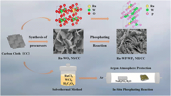 Graphical abstract: Ru doping and interface engineering synergistically boost the electrocatalytic performance of a WP/WP2 nanosheet array for an efficient hydrogen evolution reaction
