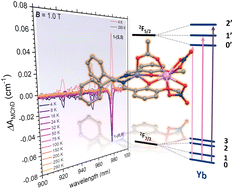 Graphical abstract: Coexistence of room temperature magneto-chiral dichroism and magneto-electric coupling in a chiral nanomagnet