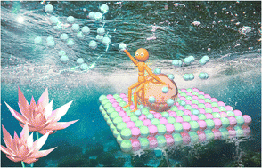 Graphical abstract: Tailoring electronic environments of dispersed Ru sites for efficient alkaline hydrogen evolution