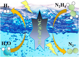 Graphical abstract: Constructing Ni species-incorporated CoP@N-doped carbon nanosheet arrays for efficient self-powered hydrazine-assisted seawater electrolysis