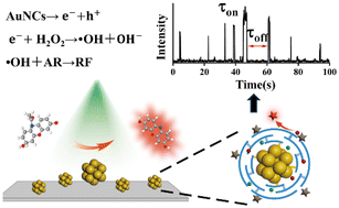 Graphical abstract: Ligand-regulated catalytic activity in fluorescent gold nanoclusters