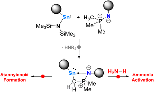 Graphical abstract: Ammonia activation using a heteroleptic stannylene and lithium stannylenoid formation facilitated by hemilabile iminophosphorane-based ligands
