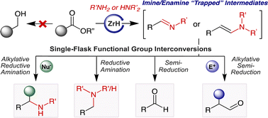 Graphical abstract: Direct conversion of esters to imines/enamines and applications to polyester waste upcycling