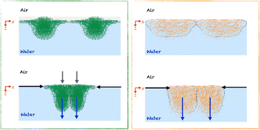 Graphical abstract: Softness matters: effects of compression on the behavior of adsorbed microgels at interfaces