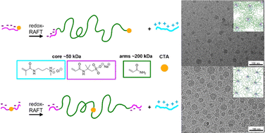 Graphical abstract: Lowest gelation concentration in a complex-coacervate-driven self-assembly system, achieved by redox-RAFT synthesis of high molecular weight block polyelectrolytes