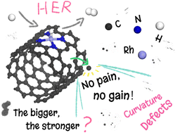 Graphical abstract: Curvature-switched activity of carbon nanotube-supported single atom catalysts for the hydrogen evolution reaction