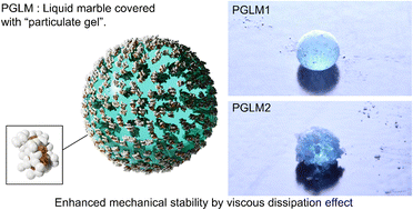 Graphical abstract: Particulate gel liquid marbles