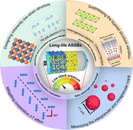 Graphical abstract: Designing low-strain cathode materials for long-life all-solid-state batteries