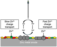 Graphical abstract: The effect of interface heterogeneity on zinc metal anode cyclability