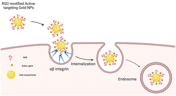 Graphical abstract: Unlocking the potential of RGD-conjugated gold nanoparticles: a new frontier in targeted cancer therapy, imaging, and metastasis inhibition