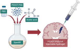 Graphical abstract: Injectable conductive hydrogel electrodes for minimally invasive neural interfaces