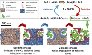 Graphical abstract: High-temperature phase evolution in CuO/Al2O3 oxygen carriers: insights from in situ quick XAS