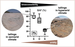 Graphical abstract: Contaminant bioaccessibility in abandoned mine tailings in Namibia changes along a climatic gradient
