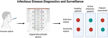 Graphical abstract: A combined digital microfluidic test for assessing infection and immunity status for viral disease in saliva
