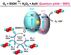 Graphical abstract: Photocatalytic hydrogen peroxide production with an external quantum yield of almost 500%