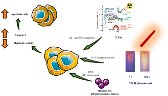 Graphical abstract: Synthesis of a covalently linked bismuthene–graphene heterostructure loaded with mitomycin C for combined radio-thermo-chemotherapy of triple-negative breast cancer