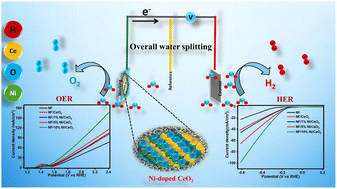Graphical abstract: Modulation of oxygen vacancies influences the electrocatalytic performance of Ni-doped ceria for oxygen and hydrogen evolution