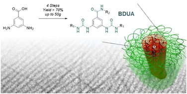 Graphical abstract: C2-Symmetric H-bonding benzene core motif promotes rapid growth of long supramolecular fibers from amphiphilic polymers