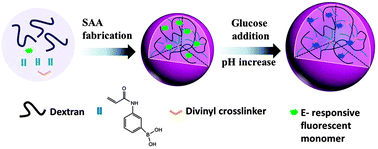 Graphical abstract: Facile fabrication of dextran-based fluorescent nanogels as potential glucose sensors
