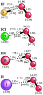 Graphical abstract: Intermolecular interactions and proton transfer in the hydrogen halide–superoxide anion complexes
